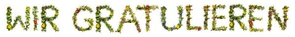 Květina a květ dopis Stavební slovo Wir Gratulieren znamená gratulace — Stock fotografie