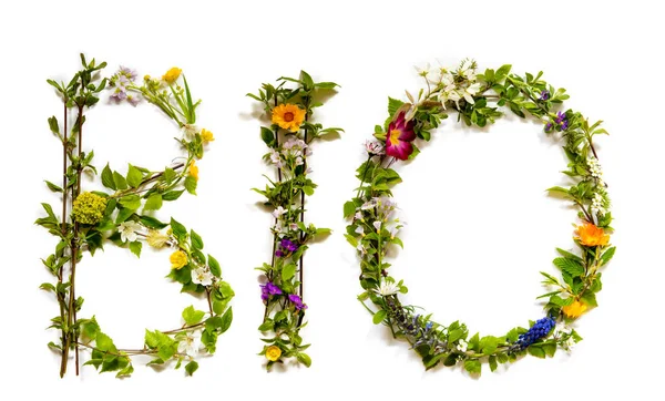 Blume und Blüte Buchstabe Gebäude Wort Bio bedeutet organisch — Stockfoto