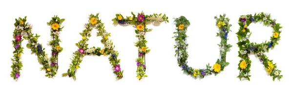 Flor e flor letra construção palavra natur significa natureza — Fotografia de Stock