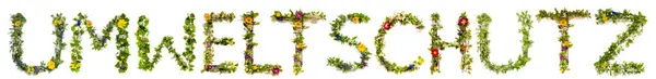 Flower And Blossom Letter Building Word Umweltschutz means Environmentalism — Stock fotografie