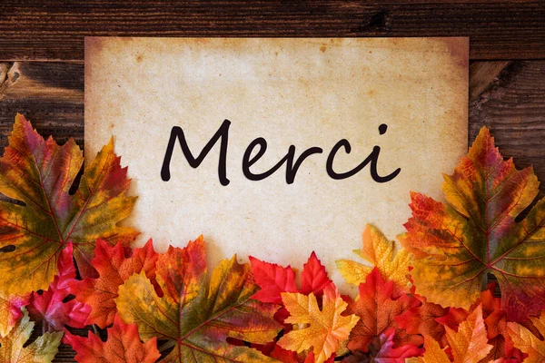 Gamla papper med text Merci innebär tack, färgglada blad dekoration — Stockfoto
