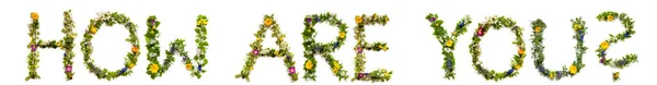 Λουλούδι και λουλούδι γράμμα κτίριο λέξη Πώς είσαι — Φωτογραφία Αρχείου