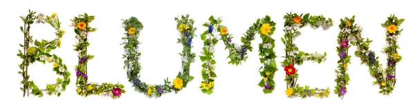 Fiore e fiore Lettera Costruzione Parola Blumen significa fiori — Foto Stock