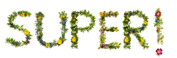 꽃 과 꽃으로 만든 문자 Super Word — 스톡 사진