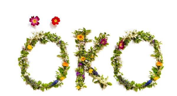 Квітка і квітка Лист Будівництво Слово Oeko означає еко — стокове фото