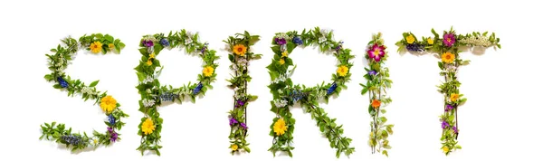 Virág és virág levél építése Word Spirit — Stock Fotó