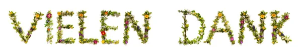Květina a květ dopis Stavební slovo Vielen Dank znamená děkuji — Stock fotografie