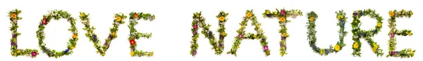 Λουλούδι και ανθισμένο γράμμα οικοδόμηση λέξη αγάπη φύση — Φωτογραφία Αρχείου