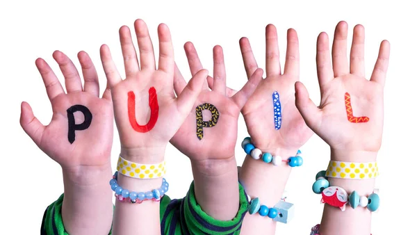 Kinderen handen bouwen Word Pupil, geïsoleerde achtergrond — Stockfoto