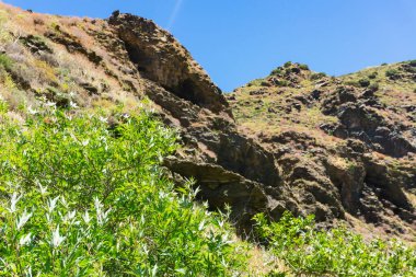 Yeşil ağaçları ve mavi gökyüzüne karşı yüksek tepeleri olan güzel bir dağ manzarası. Ulusal park.