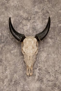 head skull of a bull with carved patterns and horns on the background of textured walls