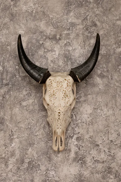 Head skull of a bull with carved patterns and horns on the background of textured walls — Stok fotoğraf