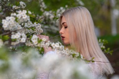 Bahar kiraz bahçesinde güzel sarışın kız