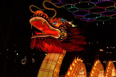 Ejderha Çin Yeni Yılı yaklaşıyor.