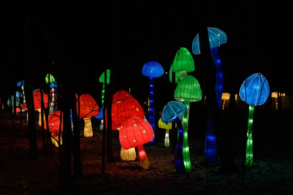 Kinesiska Lantern Festival. Blå och röd svamp. — Stockfoto