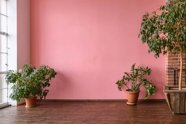 Interior da sala com parede de estuque rosa e piso de madeira — Fotografia de Stock