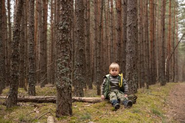 4 yaşında küçük bir çocuk çam ormanında devrilmiş bir ağaçta oturur ve önüne bakar.