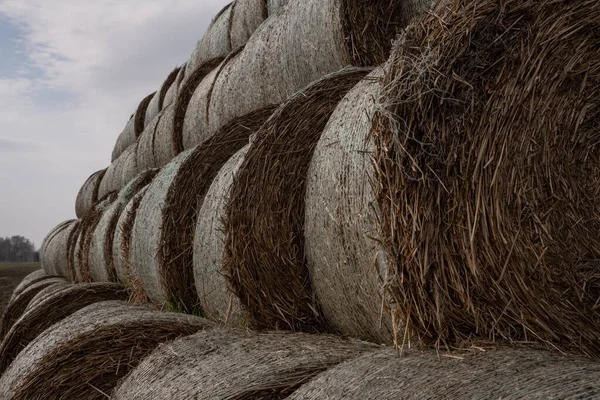 Balles Paille Empilées Dans Des Pyramides — Photo