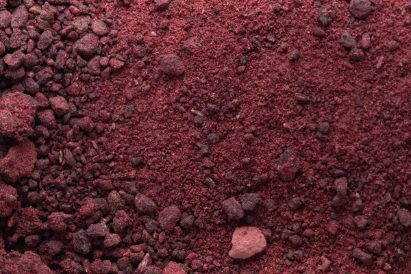 Σκόνη Αποξηραμένων Τεμαχισμένων Κόκκινων Τεύτλων Υφή Μπαχαρικών — Φωτογραφία Αρχείου