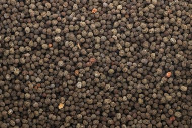 Haşhaş tohumlu. Arkaplan olarak haşhaş tohumları.