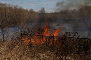 Kuru tarlada yanan çimenler. Yangın özel bir evin çitlerine ulaştı.