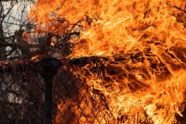 Kuru tarlada yanan çimenler. Yangın özel bir evin çitlerine ulaştı.