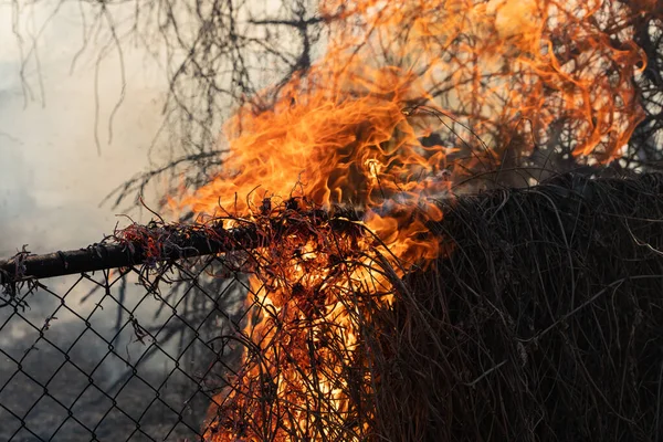 Burning grass in the dry field. The fire reached the fence of a private house plot