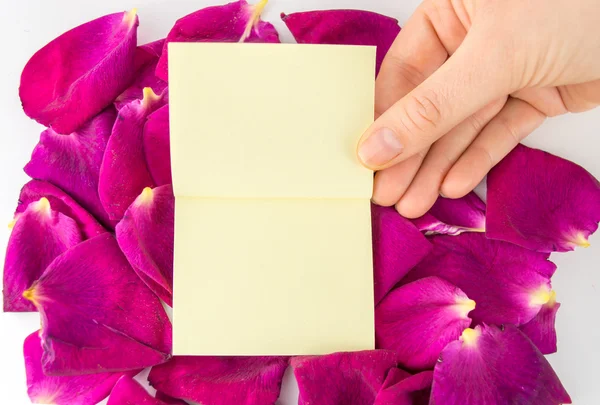 Stick σημειώσεις σχετικά με floral πλαίσιο — Φωτογραφία Αρχείου