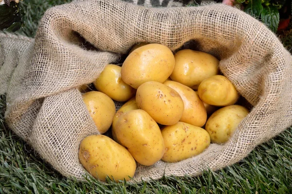 Closeup of potato sack — Stock Photo, Image