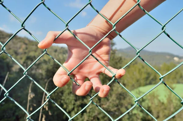 Ręka na granicy — Zdjęcie stockowe