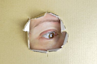 göz sol arıyorsunuz