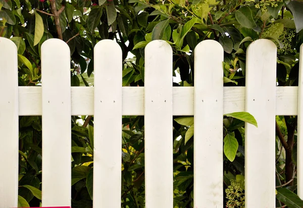 Valla de madera blanca — Foto de Stock