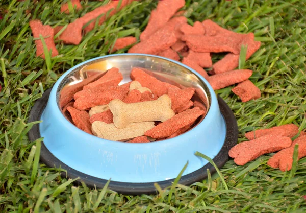 Galletas de perrito para mi mascota — Foto de Stock