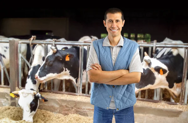Усміхнений фермер з коровами — стокове фото