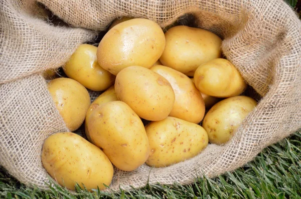 Pytel na brambory — Stock fotografie