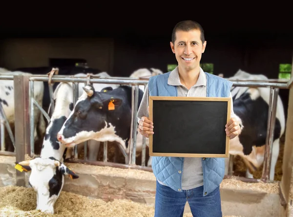 Kvæg rancher viser tavlen - Stock-foto