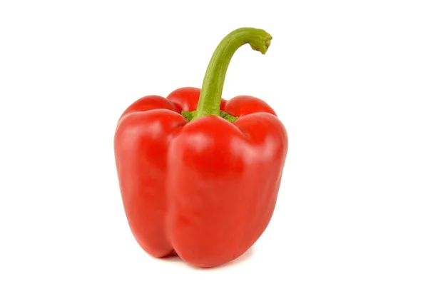 Červené syrové papriky — Stock fotografie
