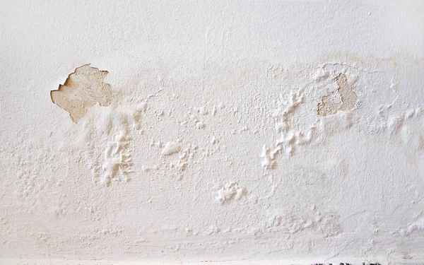 Duvar beyaz closeup — Stok fotoğraf