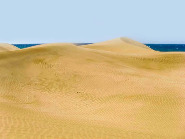 波纹状的沙丘 — 图库照片