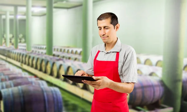 Profesional del vino utilizando una tableta —  Fotos de Stock