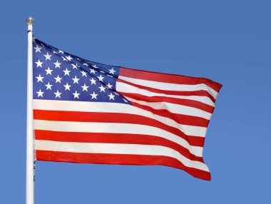 Amerika Birleşik Devletleri temsil eden