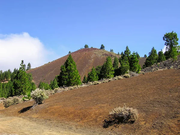 Vulkankrater la Palma — Stockfoto