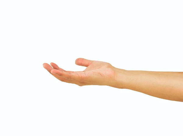 Closeup Hand Presenting Copy Space Isolated White Background — Stock Photo, Image
