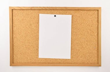 raptiye ve Not pano portre