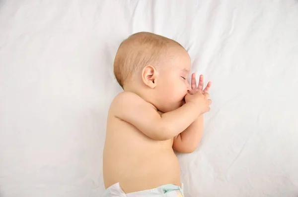 Siempre duerme después de alimentarse. — Foto de Stock