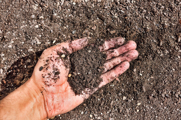 Beginning from bare ground