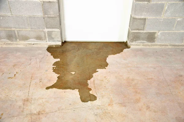 Inondation dans mon immeuble — Photo