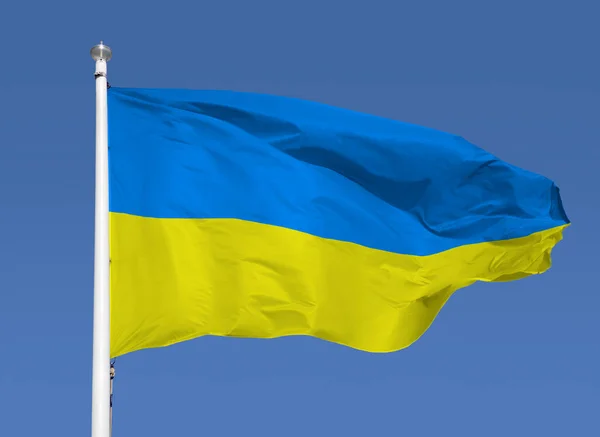 Выстрел Украинского Флага Дующего Ветер Фоне Неба — стоковое фото