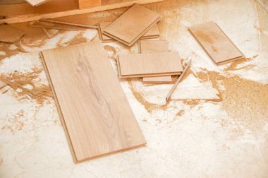 Bir marangozhanede kesilen ağaçların kalıntıları.