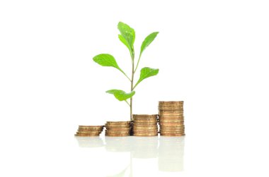 Finansal büyüme kavramı, yığın altın sikke üzerinde beyaz adam